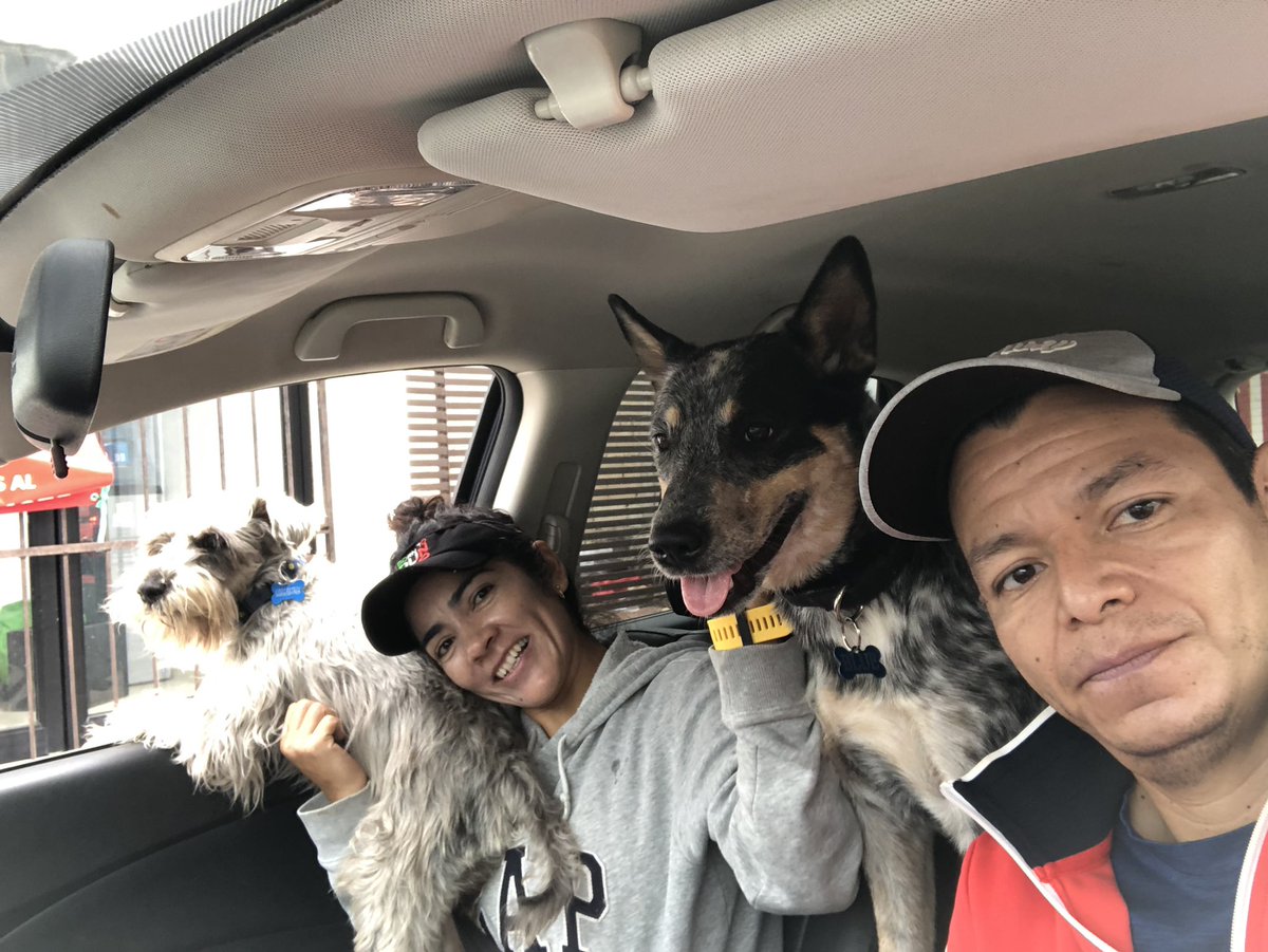 cejasypecas's tweet photo. Domingo de paseo perruno!! Mucho amor de ese bonito, simple y leal 🐶🐶

#domingo #doglovers #mimanada #pastoraustraliano #SchnauzerGang #micrew #SundayMorning https://t.co/j4bIGGfsJV