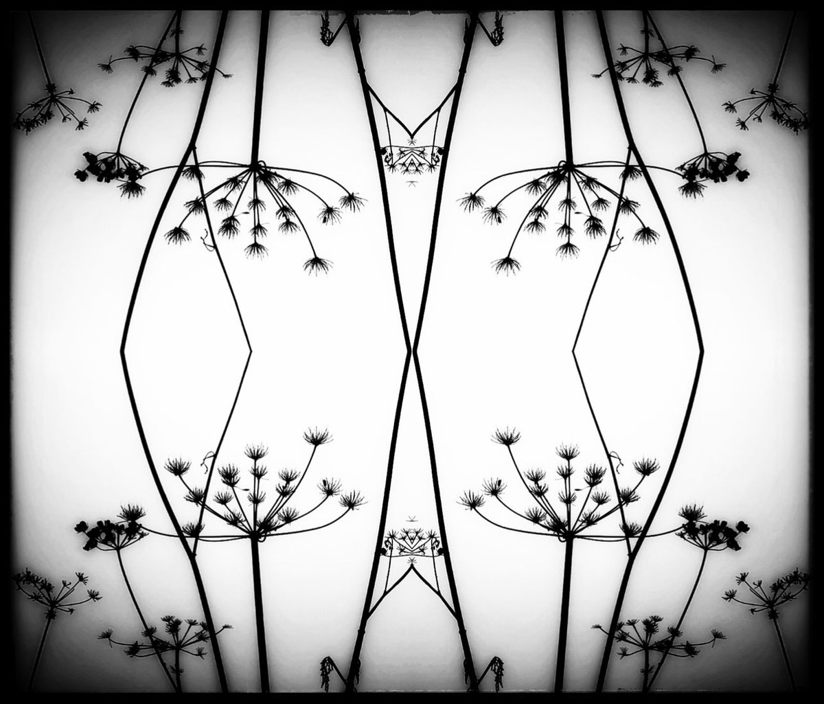 »X Marks the Spot«

#SymmetrySunday