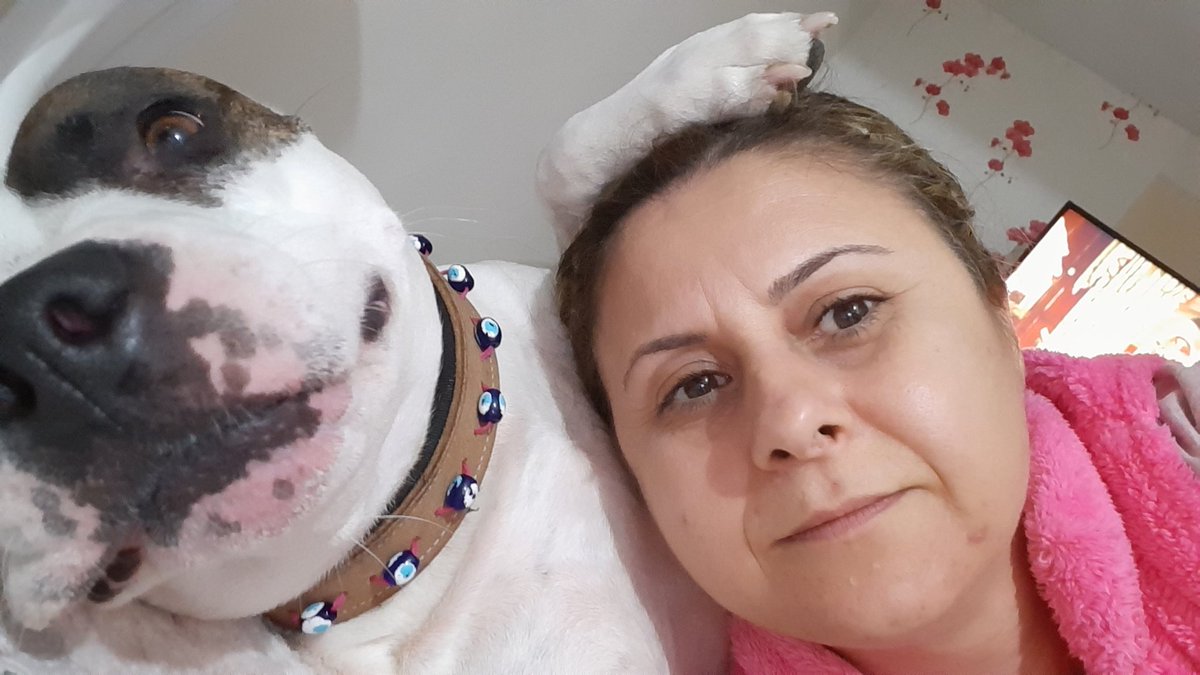 hulya453536's tweet photo. #vekilimmektubumacevapver @RavzaKavakci @pawgards bir kişinin yaptığı hatayı tüm canlara maletmiyelim katliama dur deyiniz vekil olarak sesimiz olunuz https://t.co/pAxmSG8pnQ