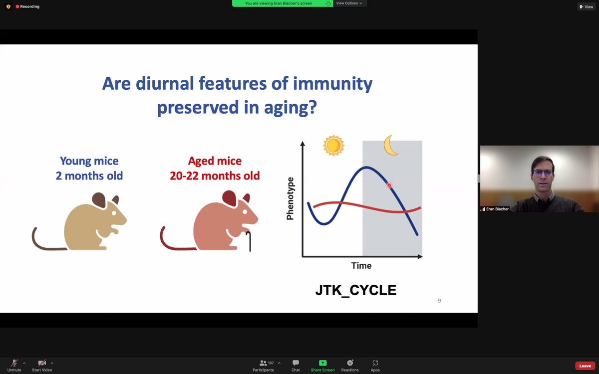 Dr. <a href="/EranBlacher/">Eran Blacher</a> from <a href="/StanfordMed/">Stanford Medicine</a> gave a fantastic talk today at the Weizmann seminar about his recent work, including this cool story (published in <a href="/NatImmunol/">Nature Immunology</a>): "Aging disrupts circadian gene regulation and function in macrophages". 🤩⏰🛡️ #circadian #aging #immunity