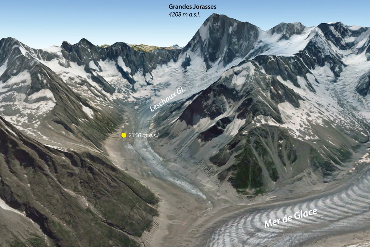 subfossilguy's tweet photo. 2 years ago was found on #Leschaux glacier the oldest and highest #subfossil wood sampled in #MontBlanc massif so far 🌲❄️
After 14C dating (4150±30 BP), an exact tree-ring date could be determined for this short series (72 rings) at 2727 BCE, i.e. 4700 years ago!
(1/)
#Chamonix https://t.co/TytfbCdeUB