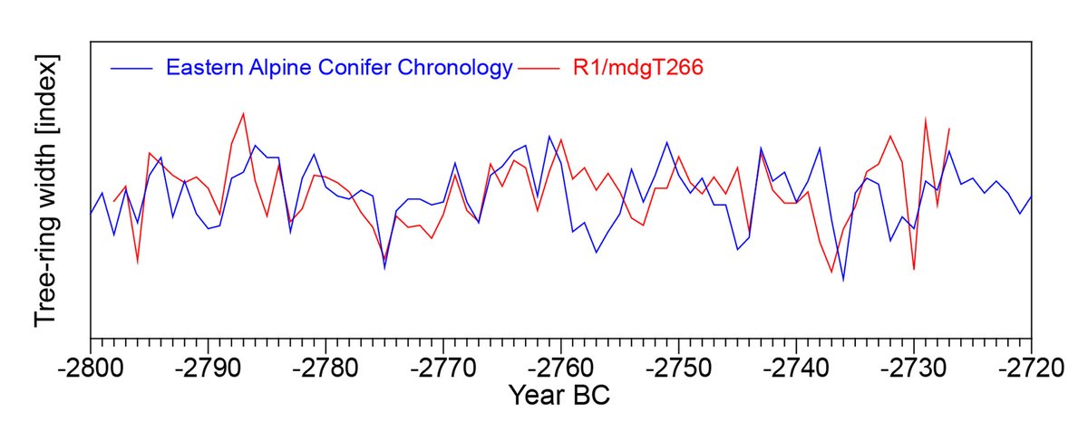 subfossilguy's tweet photo. 2 years ago was found on #Leschaux glacier the oldest and highest #subfossil wood sampled in #MontBlanc massif so far 🌲❄️
After 14C dating (4150±30 BP), an exact tree-ring date could be determined for this short series (72 rings) at 2727 BCE, i.e. 4700 years ago!
(1/)
#Chamonix https://t.co/TytfbCdeUB