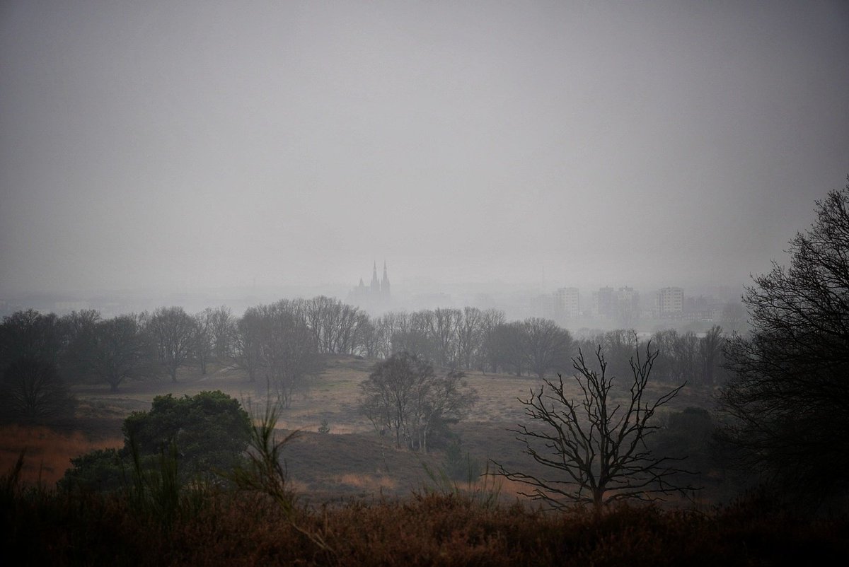 Wandelen op de mookerheide met kerk Cuijk in de mist