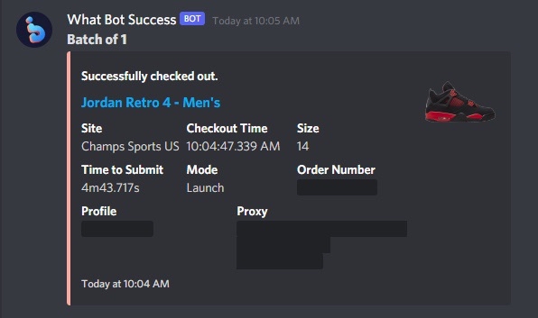 Success from StormTrooper#9014