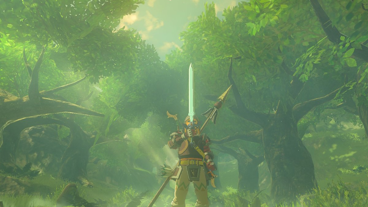 Bobskelebone's tweet photo. got the mastersword POG #BreathoftheWild #NintendoSwitch https://t.co/GRrwwNNPzj