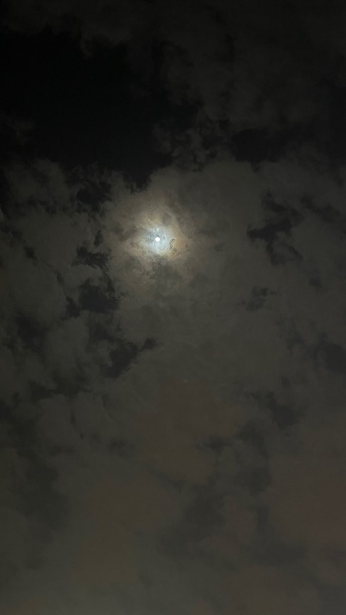 zs_54 tweet picture