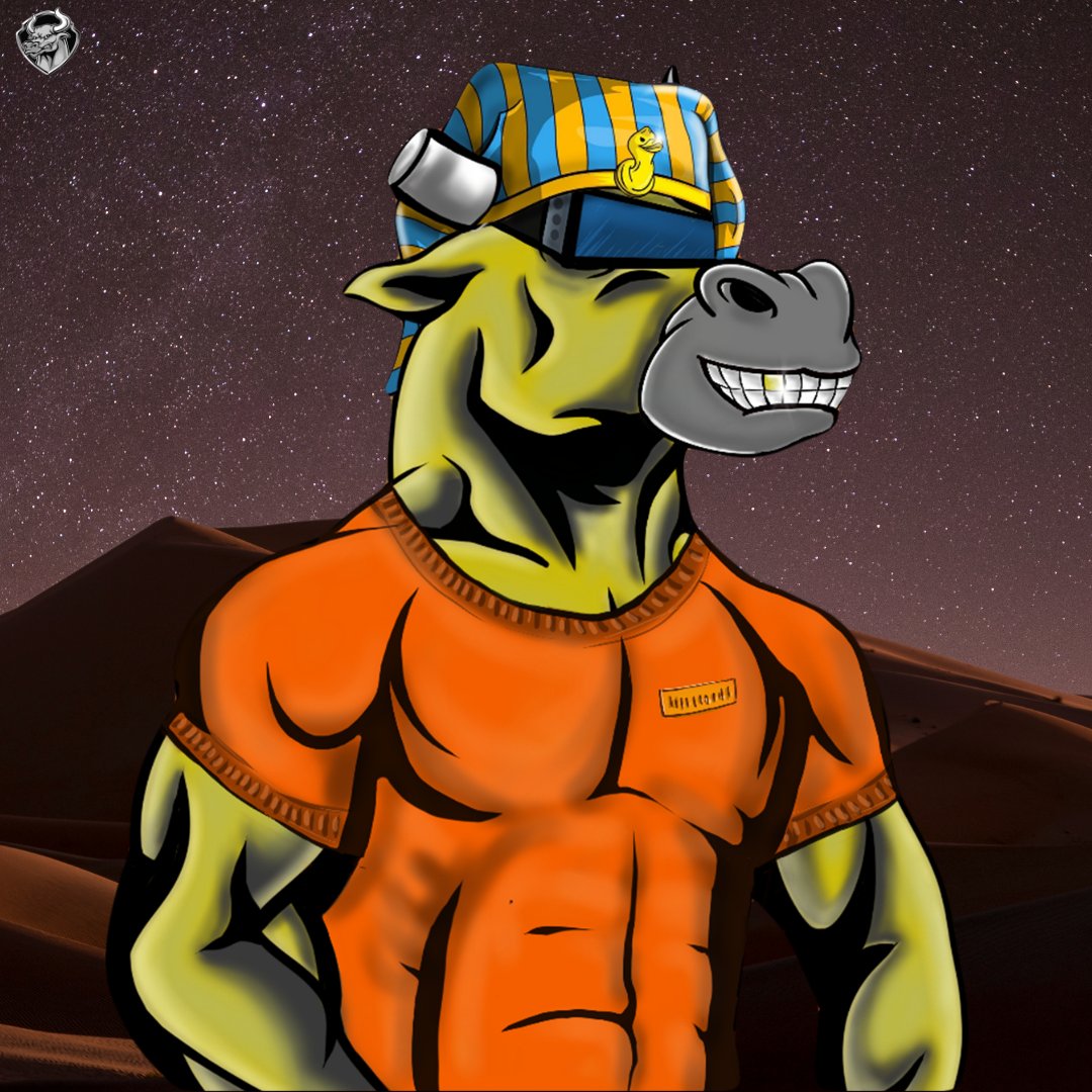 smartclassicdxb's tweet photo. Which one will you mint? 🚀

#NFTs #NFTCommunity https://t.co/zTCkflbohy