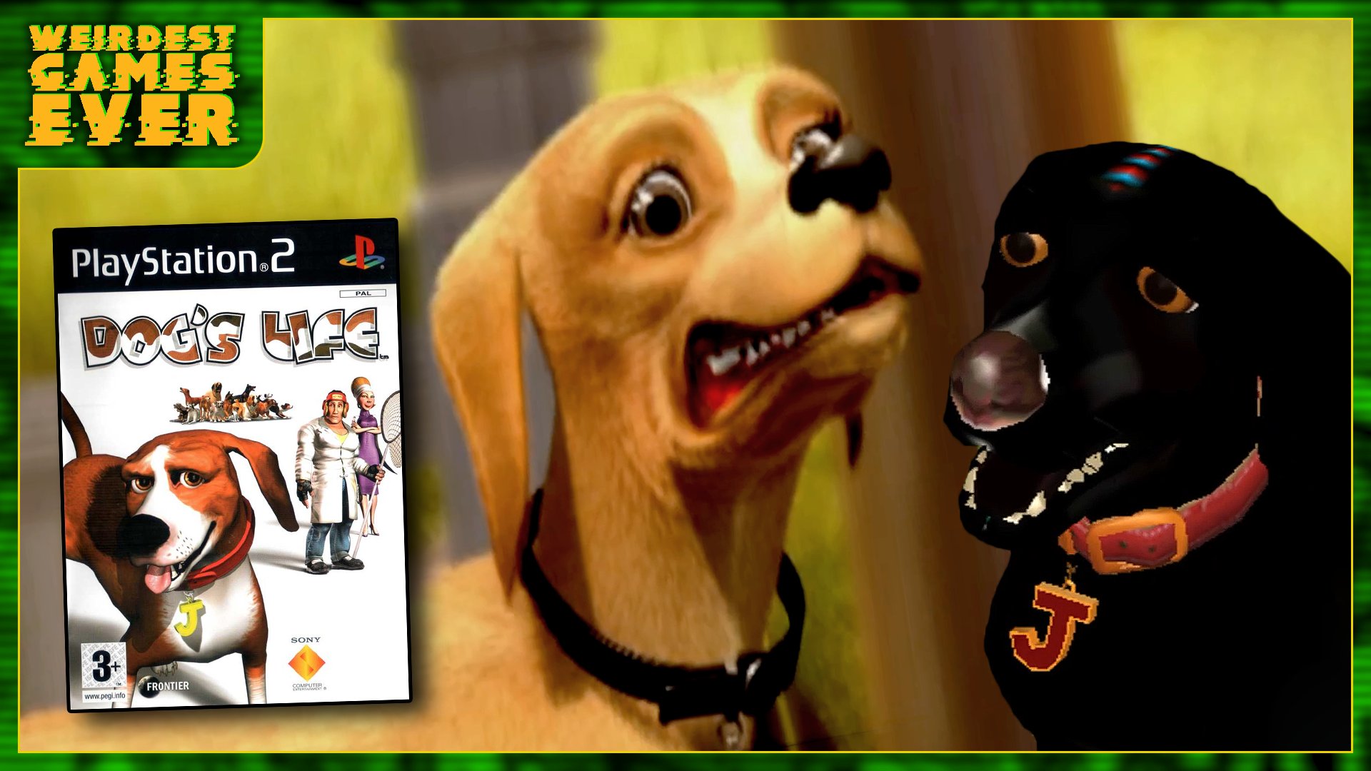 The Weirdest Pet Games