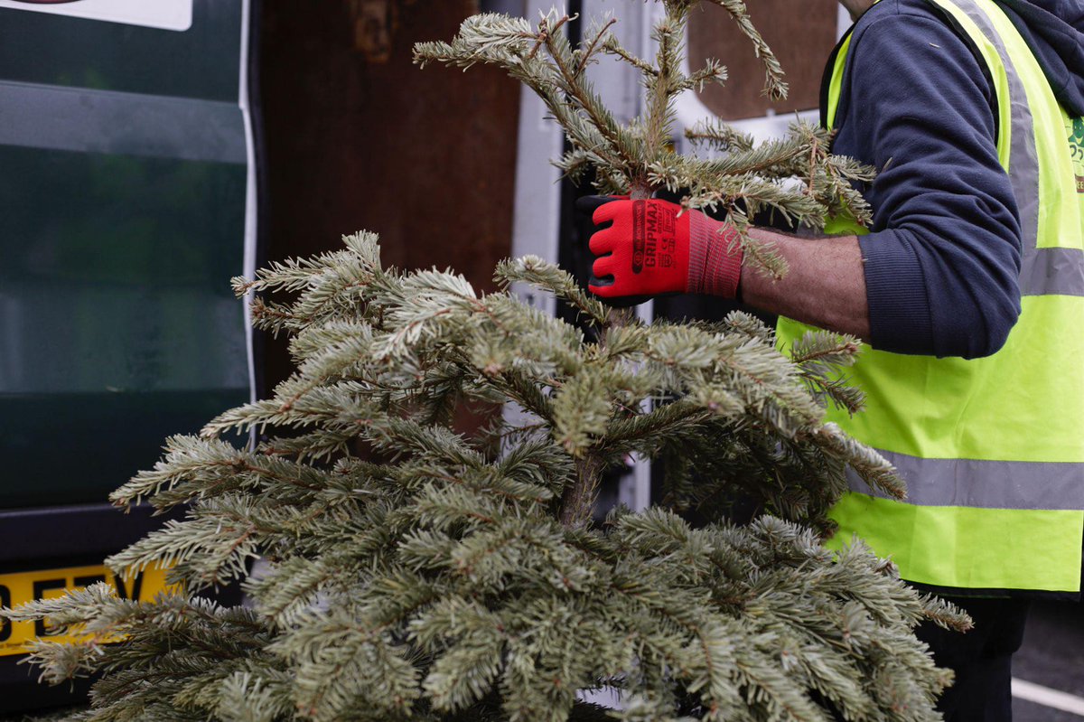 ECHospice's tweet image. 🎄 WE DID IT! 🥳

Just like that, our 2022 Christmas Tree Collection weekend is complete ✅ Our volunteers have collected a monumental 7000 trees over the weekend! 😲🎄👏 

Thank you so much for your support, and keep your eyes peeled for a total amount soon! 

#ECHTrees