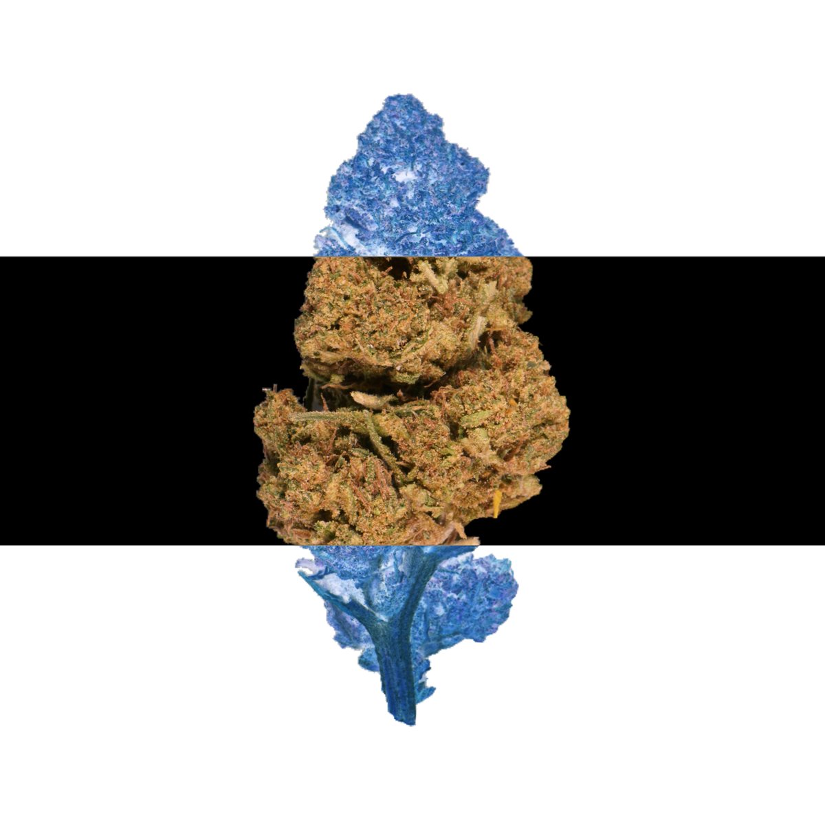 CannaCrypts tweet media