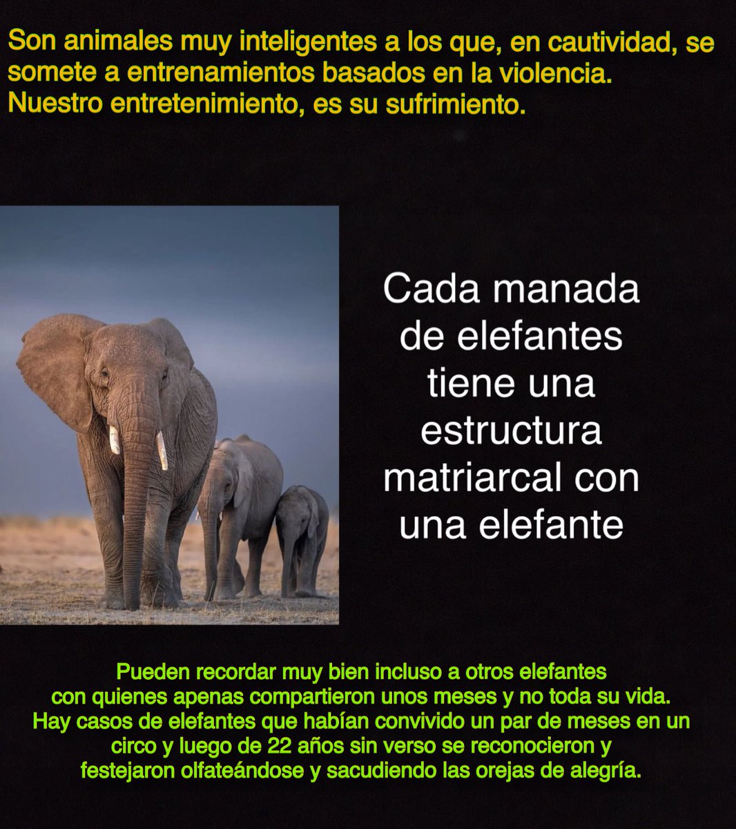 RicardezVeny's tweet photo. #ComoTeDigo #QueNoTeValgaMadre https://t.co/6vo5KUcA7l