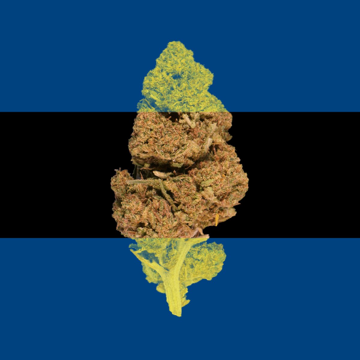 CannaCrypts tweet media