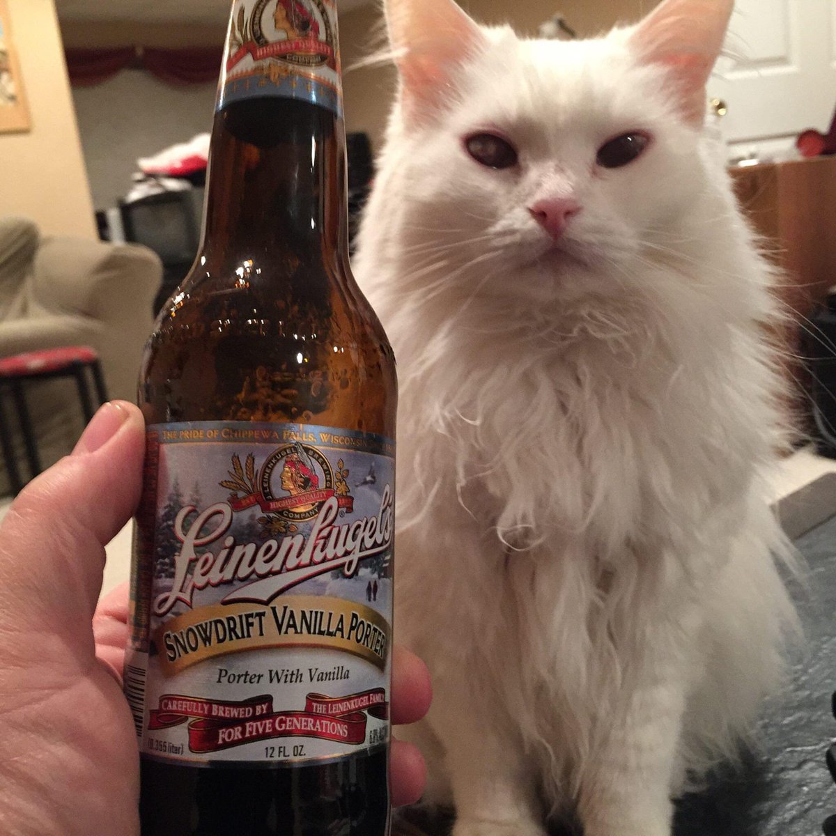 JimmRet's tweet photo. #2015
Leinie and The Puff
@Leinenkugels #ThePuff #beercat #CatsOfTwitter https://t.co/JKLmrg67mY