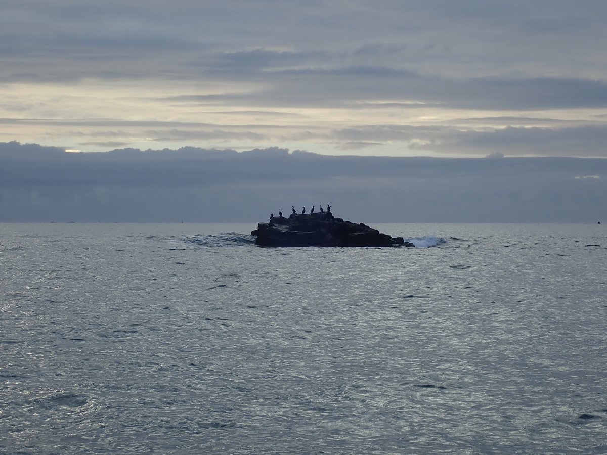 David Mawer3 (@david__mawer) on Twitter photo 