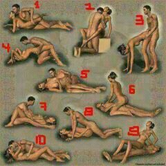 Howibrahim3 tweet picture