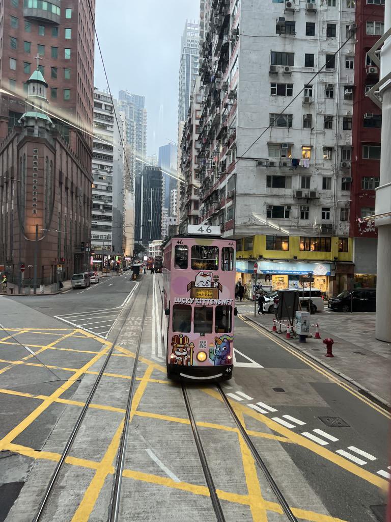 luckykittensnft's tweet photo. The first week of our HK Tram is over, and we still have 3 weeks left to continue seeing it around HK!!

Here are some of our holders' photos from last week! We expect to receive more photos from the Kommunity, as we'll be releasing photo contests every week!❤️ https://t.co/RRQZd17lIk