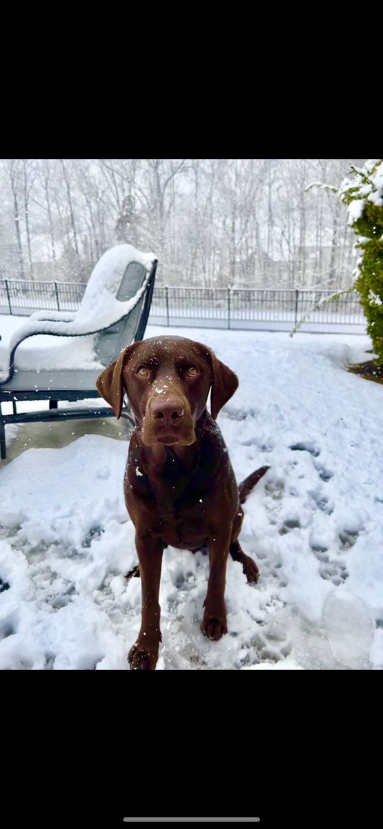 ParkerMcCollum's tweet photo. 100% makin Hallie Ray take pics of us in the snow https://t.co/TiUltY0zz5