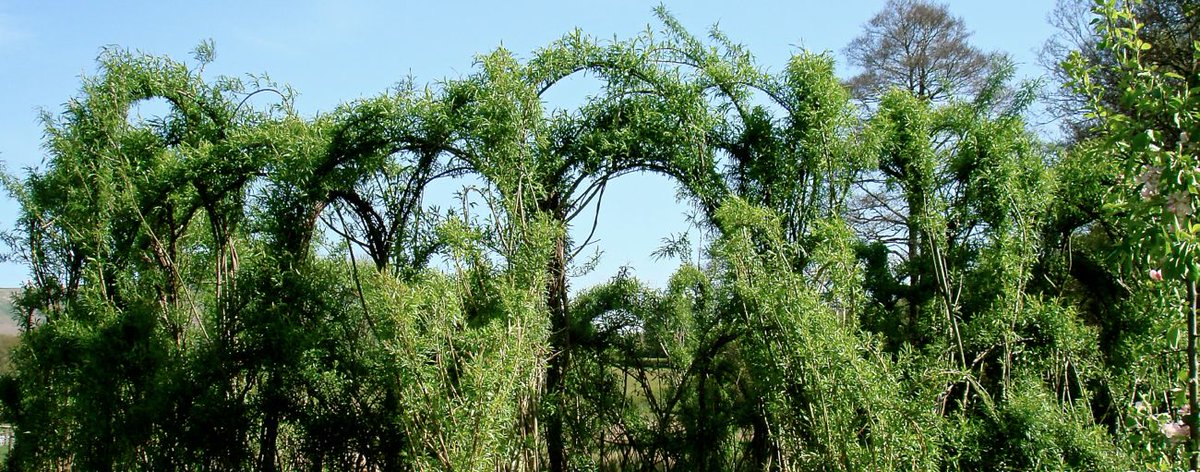 New post on Ko-fi!  ko-fi.com/post/Dreams-an…