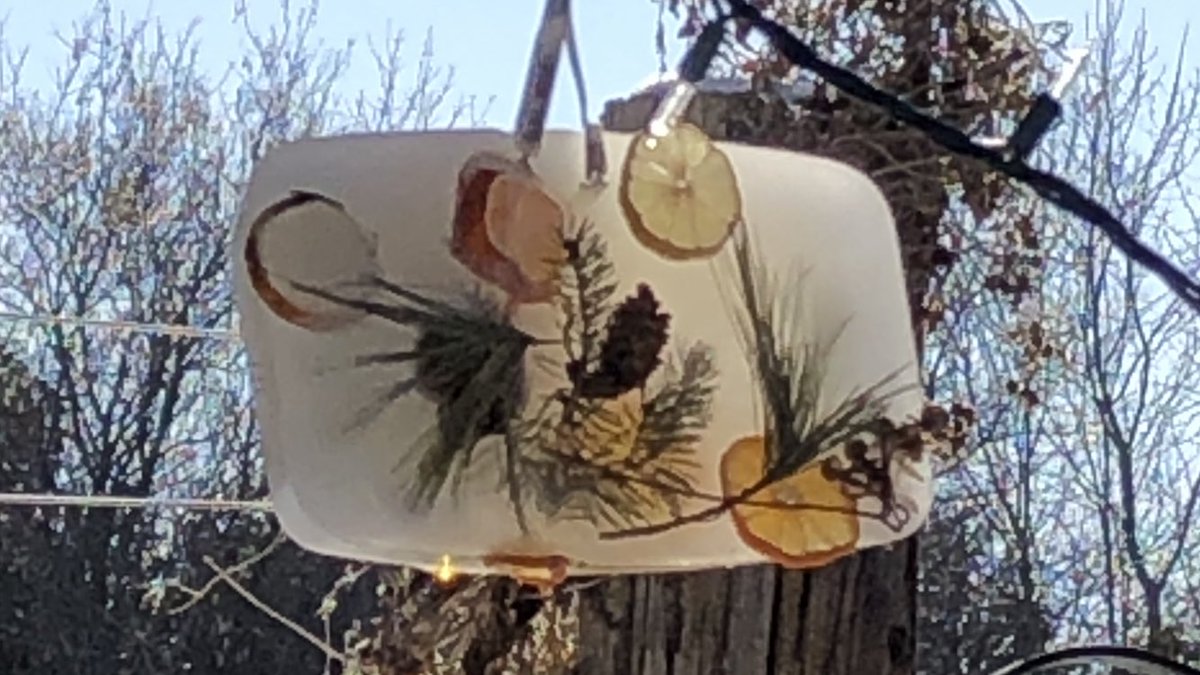 Perfect sunny day for #frozensuncatchers and for refilling #birdfeeders as we await our first real #WinterStorm of the season