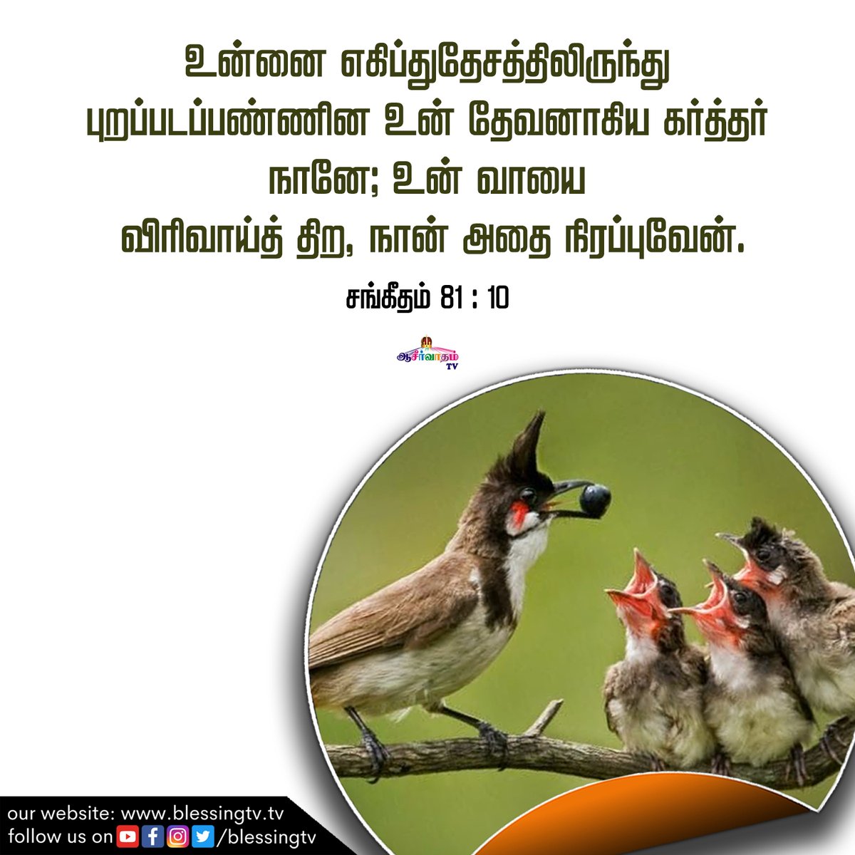 aaseervatham_tv's tweet photo. Indraya Manna | January 17
I am the Lord your God, Who brought you out of the land of Egypt; Open your mouth wide, and I will fill it.
Psalm 81:10
#BlessingTV #AllenPaul #SophiyaAllenPaul #AaseervathamTV #BlessingChurch https://t.co/dZLW5W2OfG