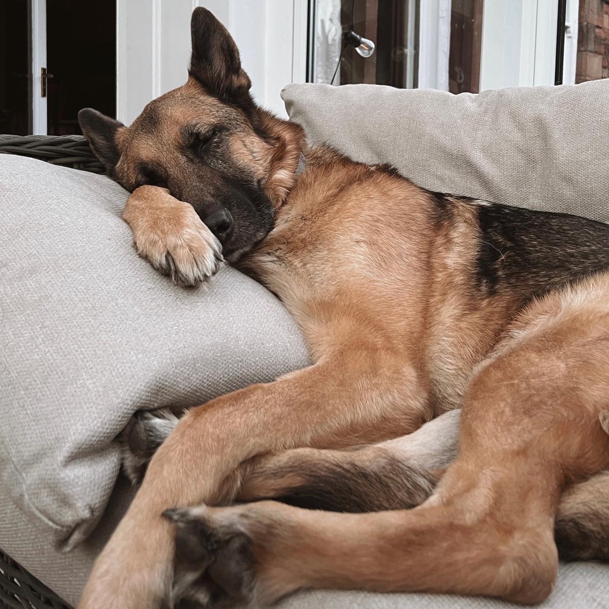 Most photogenic handsome perfect boy