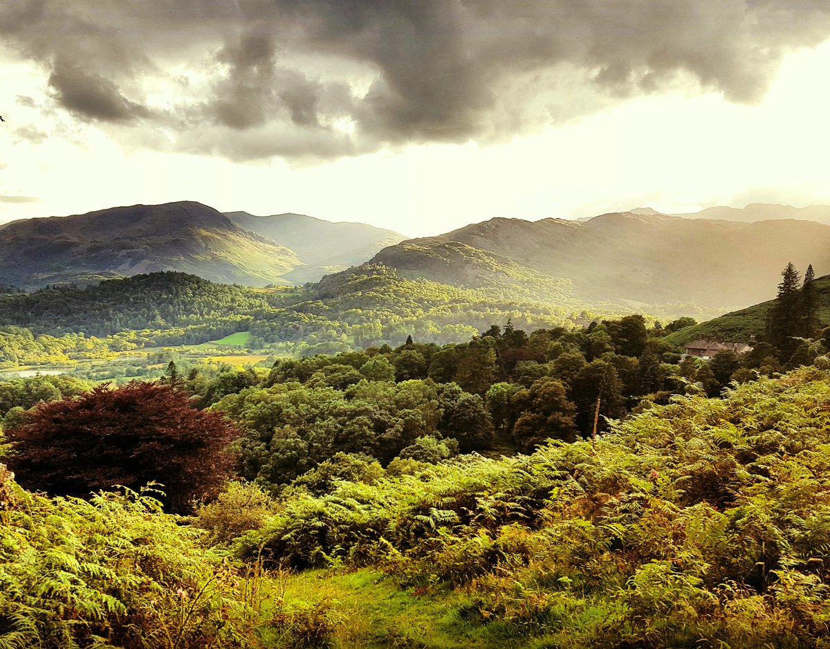 RodRigo_NFT's tweet image. The beautiful Scotland 😍 
@WoodiesNFT #woodiesworld