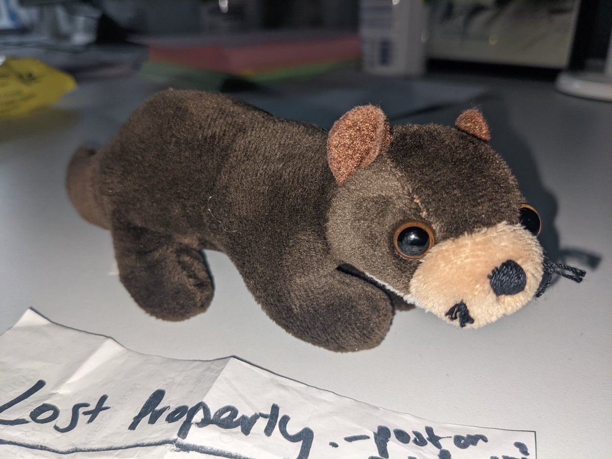 We’ve just found this wee one outside the station reception! 

Can you help us track down their human? We’ll keep them safe until then! 

<a href="/Glasgow_Live/">Glasgow Live</a> <a href="/Glasgow_Times/">Glasgow Times</a> <a href="/ScotRail/">ScotRail</a>