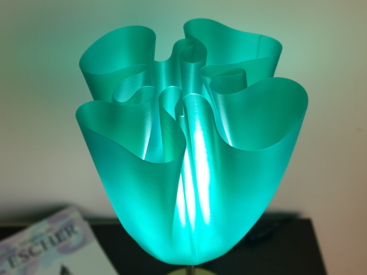 "Smaragd Green" PLA filament
#originallamp
#3dprintedlamp
#warmatmosphere
#perfecttablelamp
#ambientlight
#retrominimaldesign
#bedsidelamps
#sideboardlamp
#shininglamp
#lightbulb
#worldmaplamp
#moderndesignlamp
#70slamp