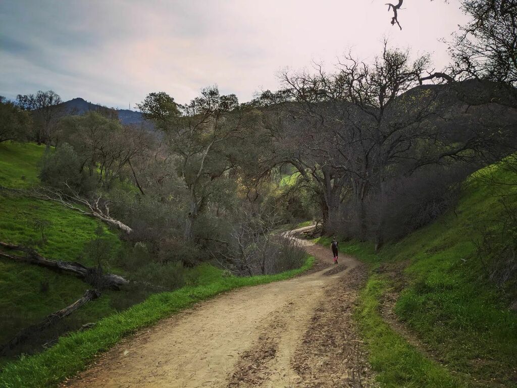 averybazan's tweet photo. Trails https://t.co/W8KR6kvcNf https://t.co/HWZ7ne6fB5