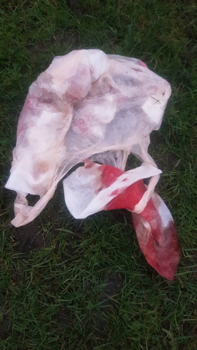 angelicus73's tweet photo. It's one thing to discard empty water bottles on the sidelines after a football match, but a bag full of bloodied bandages. #filthyhumans #respectmylocalgreenspace #Netherfield @GedlingBC https://t.co/0KO35EcExs