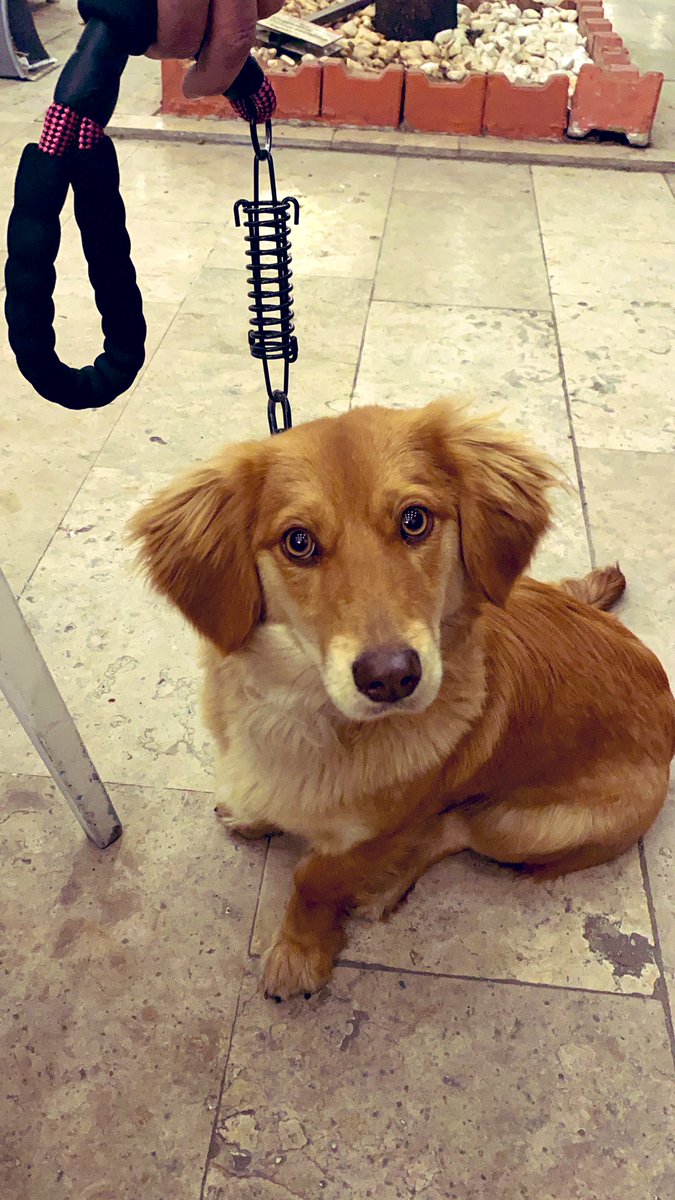 Ben: Tarçınnn poz ver bakiimm
Tarçın: