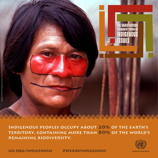 #IndigenousPeoples make up less than 6% of the 🌎’s population yet are stewards of 80% of the 🌎’s #biodiversity on land.

𝑰𝒕’𝒔 𝒕𝒊𝒎𝒆 𝒕𝒐 𝒉𝒆𝒆𝒅 𝒕𝒉𝒆𝒊𝒓 𝒗𝒐𝒊𝒄𝒆𝒔, 𝒓𝒆𝒘𝒂𝒓𝒅 𝒕𝒉𝒆𝒊𝒓 𝒌𝒏𝒐𝒘𝒍𝒆𝒅𝒈𝒆 & 𝒓𝒆𝒔𝒑𝒆𝒄𝒕 𝒕𝒉𝒆𝒊𝒓 𝒓𝒊𝒈𝒉𝒕𝒔❗️

#RecoverBetter