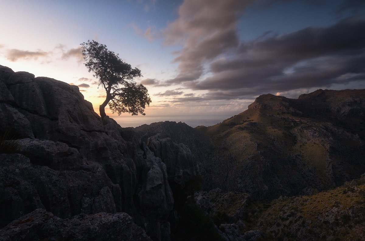 No es lo que ves, es lo que sientes, el momento, el lugar! 
Enjoy 😎
#hacerfotos  #Longexposure #landscapephotography #viajes  #NFTCommunity #NaturePhotography #nature #NFTPhotographer #Travel #Mallorca #Spain #sunsetphotography