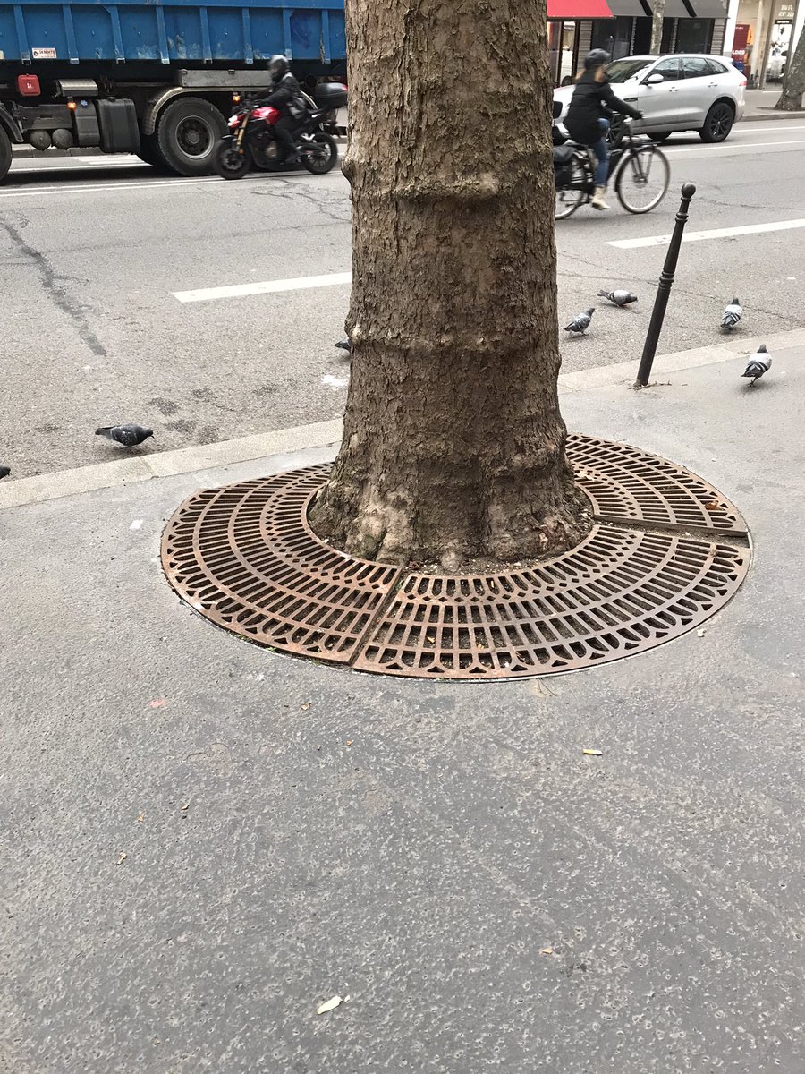 MariePiR1's tweet photo. Un petit avant-pendant-après sur les pieds d’arbres à Paris… Ici bd des Capucines. Apparemment, ces nouvelles choses à l’esprit zadiste sont des pieds d’arbre “participatifs”. A priori, seuls les chiens participent… 💩💩 Et le pire: il n’y a plus d’arbre! 😭#saccageparis https://t.co/5LRTHwk7aI