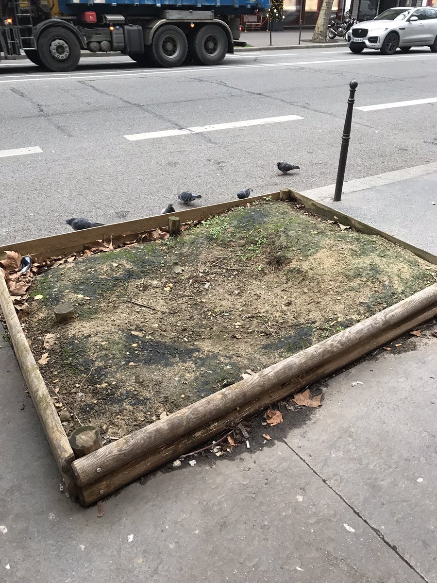Un petit avant-pendant-après sur les pieds d’arbres à Paris… Ici bd des Capucines. Apparemment, ces nouvelles choses à l’esprit zadiste sont des pieds d’arbre “participatifs”. A priori, seuls les chiens participent… 💩💩 Et le pire: il n’y a plus d’arbre! 😭#saccageparis