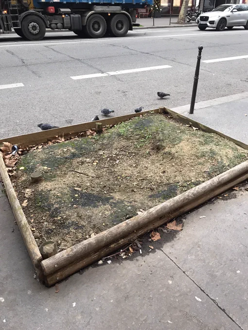 Image from Marie-Pierre Richard (@MariePiR1)