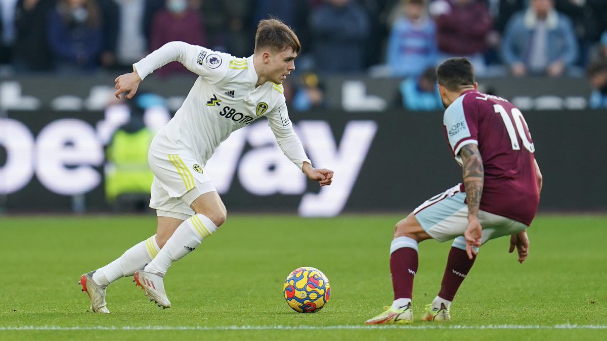 Lewis Bate tweet media