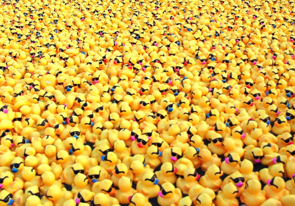 golducktoken's tweet photo. Community is our Power 
Our Marketing is dependent on a strong Community

If you promote #GOLDUCK &amp; $NEGG you are promoting your Investment. 

So don't just buy and watch also help your project by sharing information about the ecosystem in different groups and forums!

#Gduckarmy https://t.co/r7RpmKuYGB