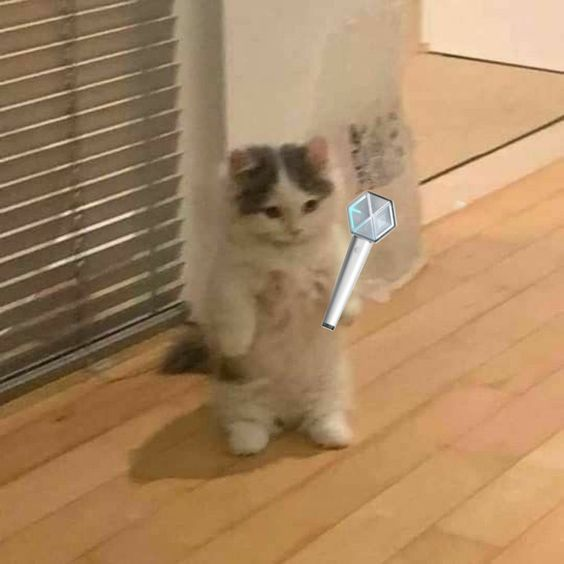 parece aquelas conversas do tipo "mas é o mama mama ou o mama mama?" "mama mama"