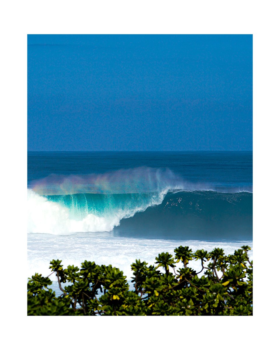 Rachel Sandquist tweet media