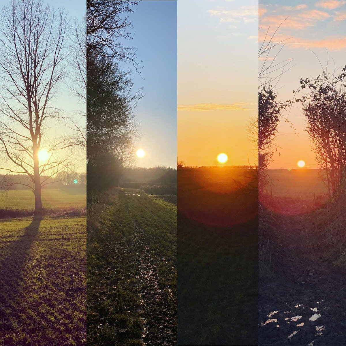 emma_vgoldsmith's tweet photo. Sunny Sunday afternoon walk in Cambridgeshire https://t.co/xVS8AWoE3v