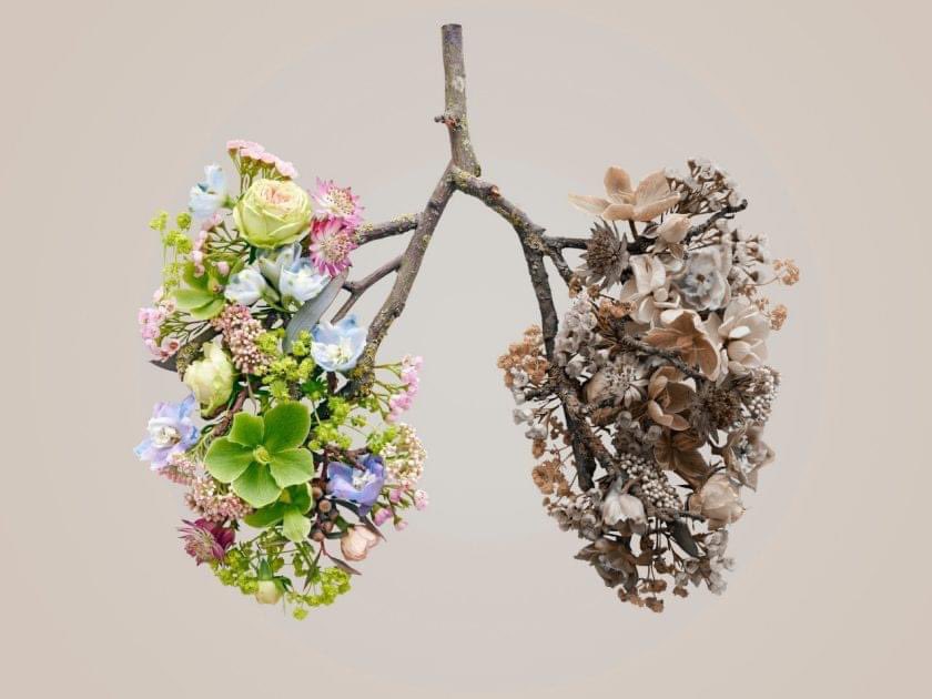 Holistic_MHC's tweet photo. Have a New Year's Resolution to stop smoking? Join Lynn at THMHC as she has a very high success rate of helping people quit through Clinical Hypnosis. Book your first session FREE by visiting https://t.co/BAXqdyazPQ. #thmhc #saintpetersburg #stopsmokingandbreathe https://t.co/7AcbGkozMD