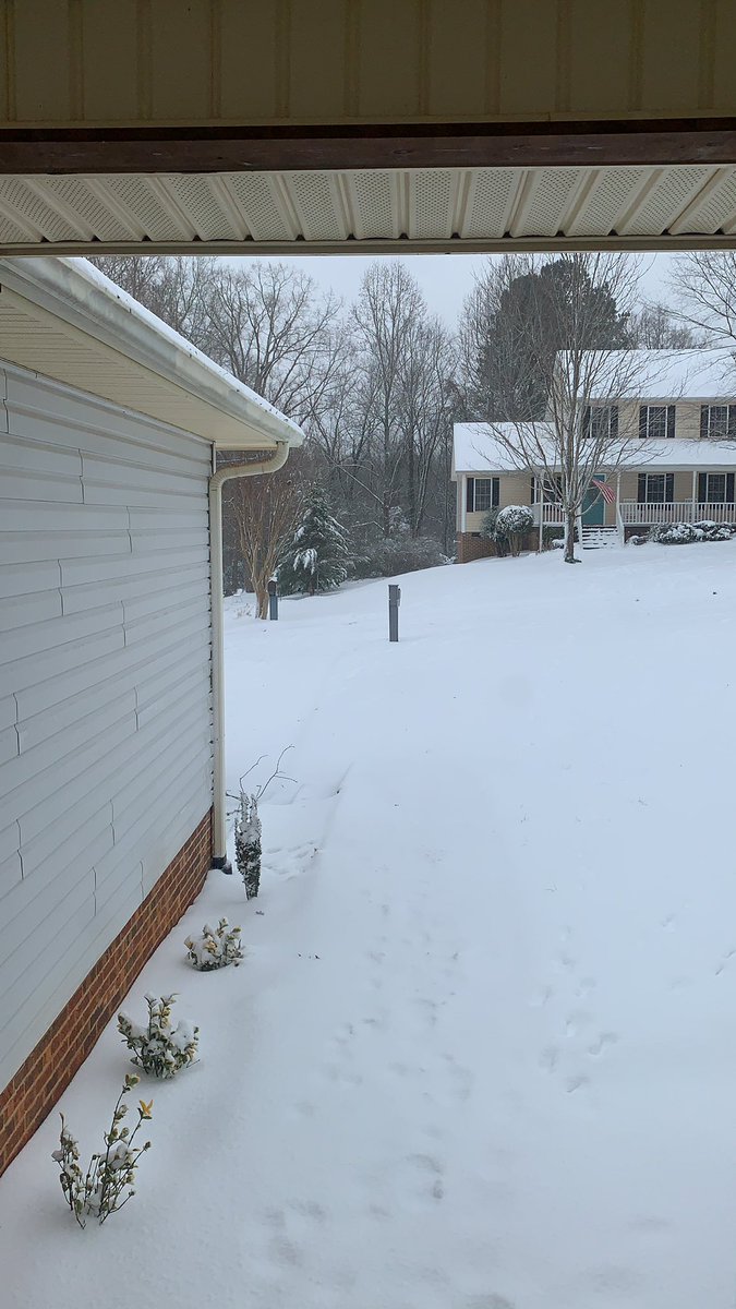 Riptide ⚾️ tweet media