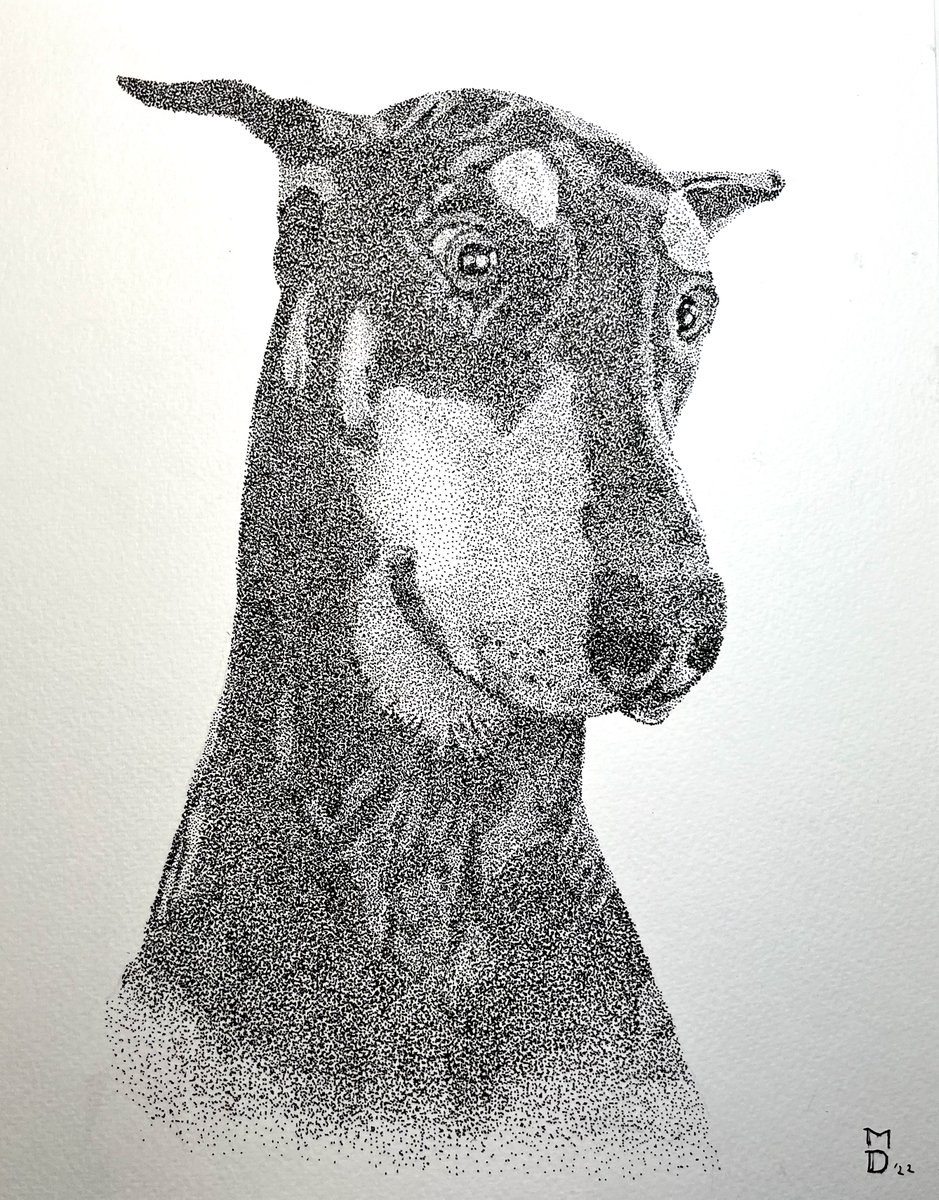 StudioDodd's tweet photo. #petportrait currently open for commissions #dogs #doberman #Ohio #art https://t.co/kWmhbPHNmP