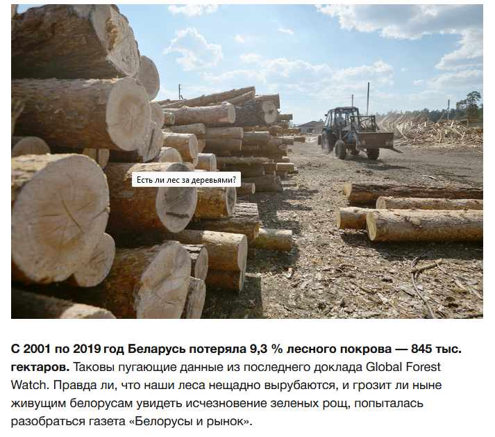 DeforDesertif's tweet photo. #Help #forest #Belarusian https://t.co/W2T4K5heMk