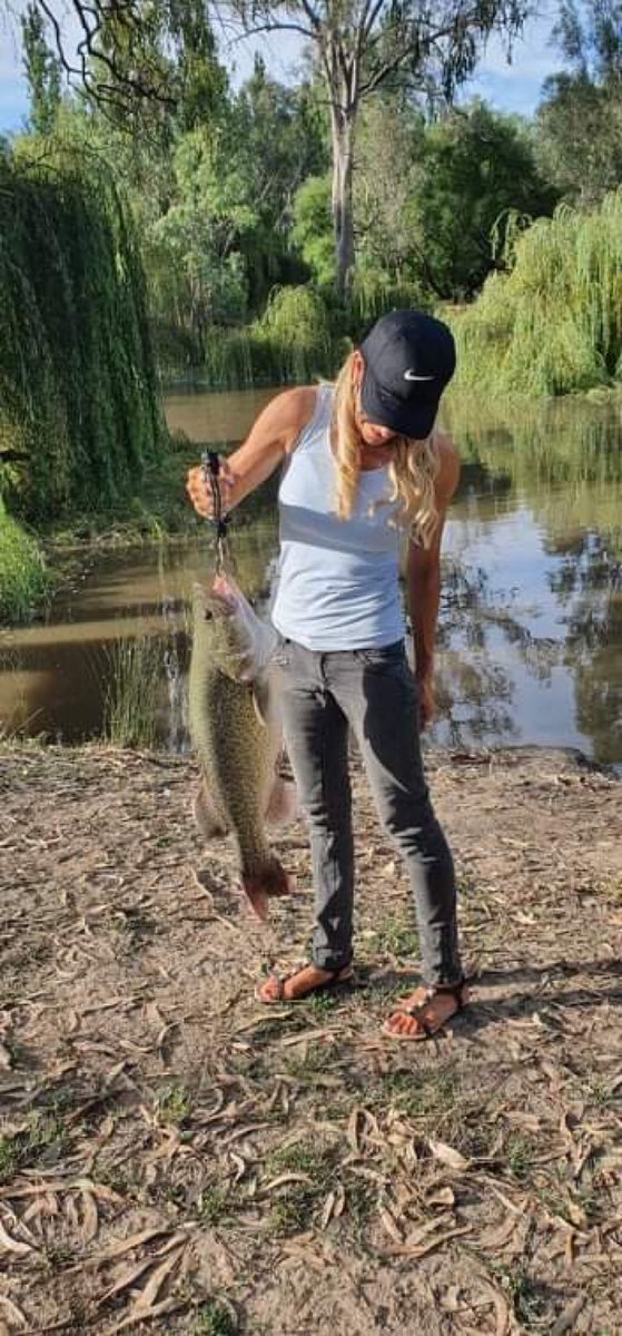 Tried my hand at fishing - first catch 70cm Murray Cod 🎣