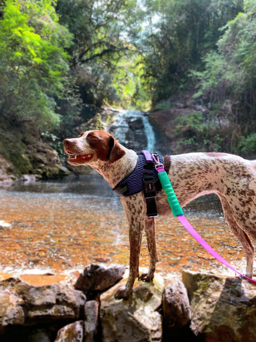 LUKE & ARYA tweet media