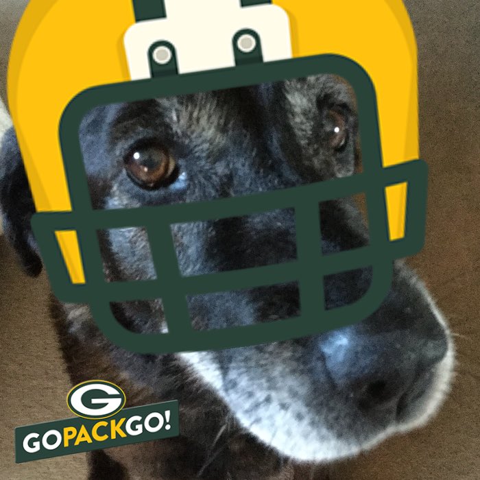 mdakota's tweet photo. @packers https://t.co/h8tUrZwbZm