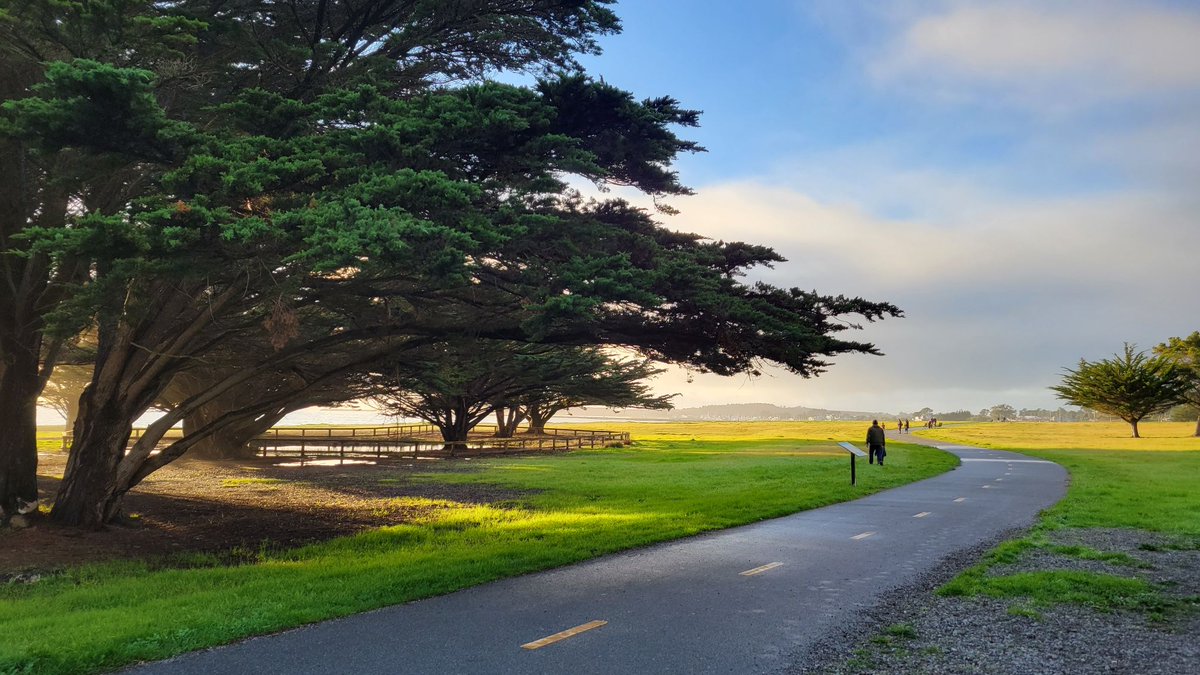 SMCParks's tweet photo. This week we will go down the #CaliforniaCoastalTrail from #PillarPoint to #MiradaSurf for our #parkoftheweek series. Enjoy both undeveloped #coastalbluffs and acres of open space in #MiradaSurf West & East. A bathroom and bike fix-it station are available at #MiradaWest https://t.co/AWdzq6Y3iu