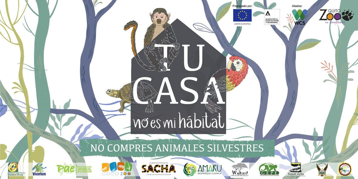 Proyecto Washu tweet media